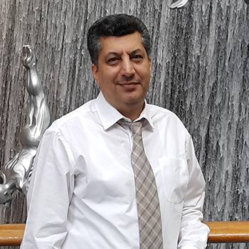 arcadis it director arcadis it director
